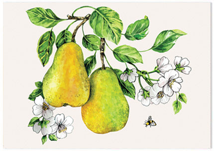 Botanical Fruit Pear - A6 Art Card
