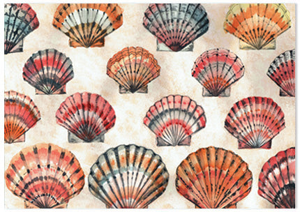 Sea Shells - A6 Art Card