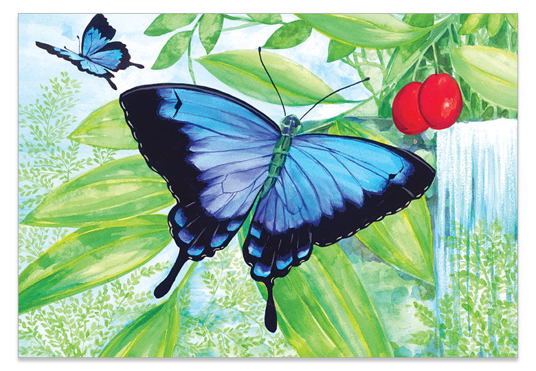 Ulysses Butterfly with Waterfall - Print