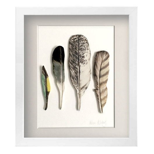 Bush Birds - Feathers Framed