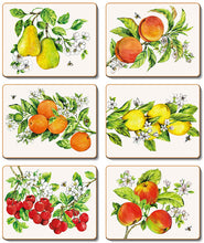 Botanical Fruit Coasters & Placemats