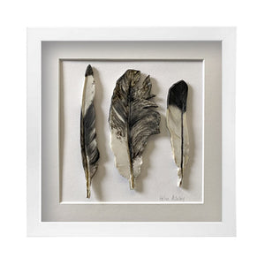Magpie and Ibis - Feathers Framed