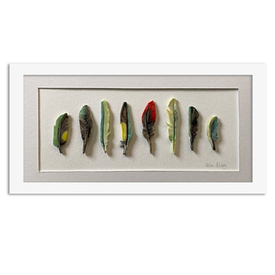 Parrot Rainbow - Feathers Framed