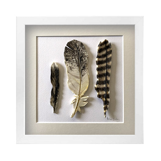 Small Kookaburra - Feathers Framed