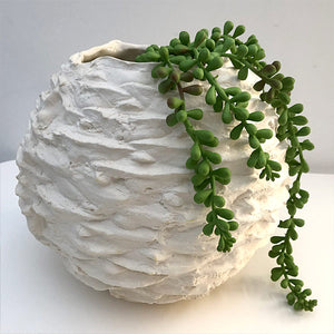Bunya Nut - Ceramic Sculpture, Porcelain Vase, Australian Native