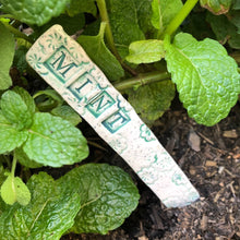 Herb Garden Markers