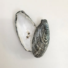 Lidded Oyster