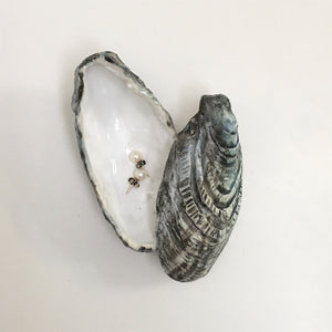Lidded Oyster