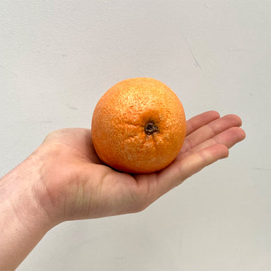 Oranges