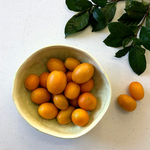 Porcelain Bowl - Rockmelon