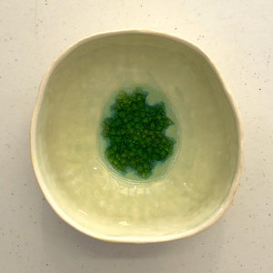 Porcelain Bowl - Rockmelon