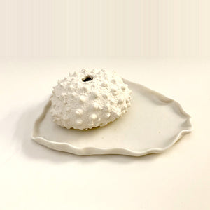 Sea Urchins